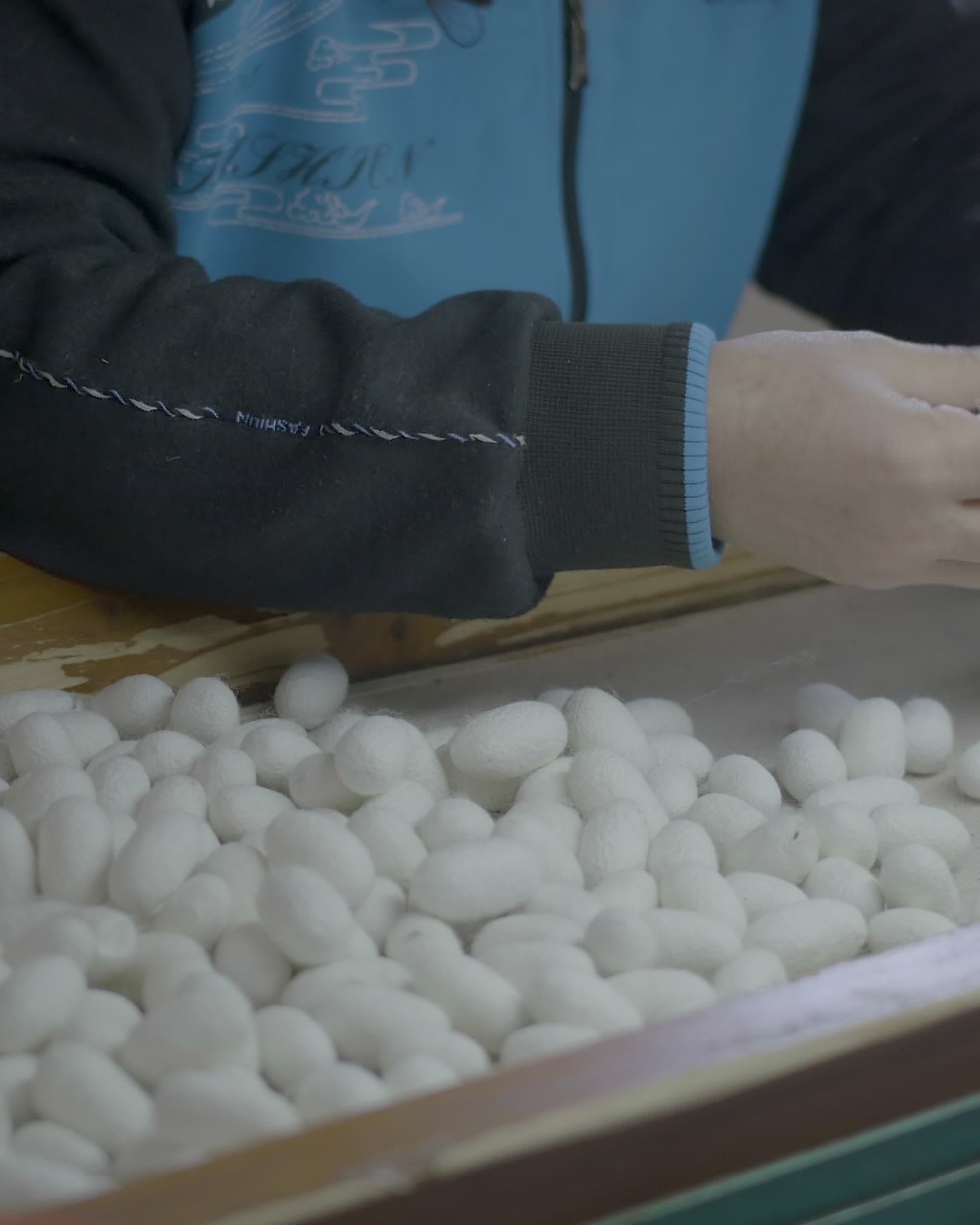 Artisan sorting cocoons by hand